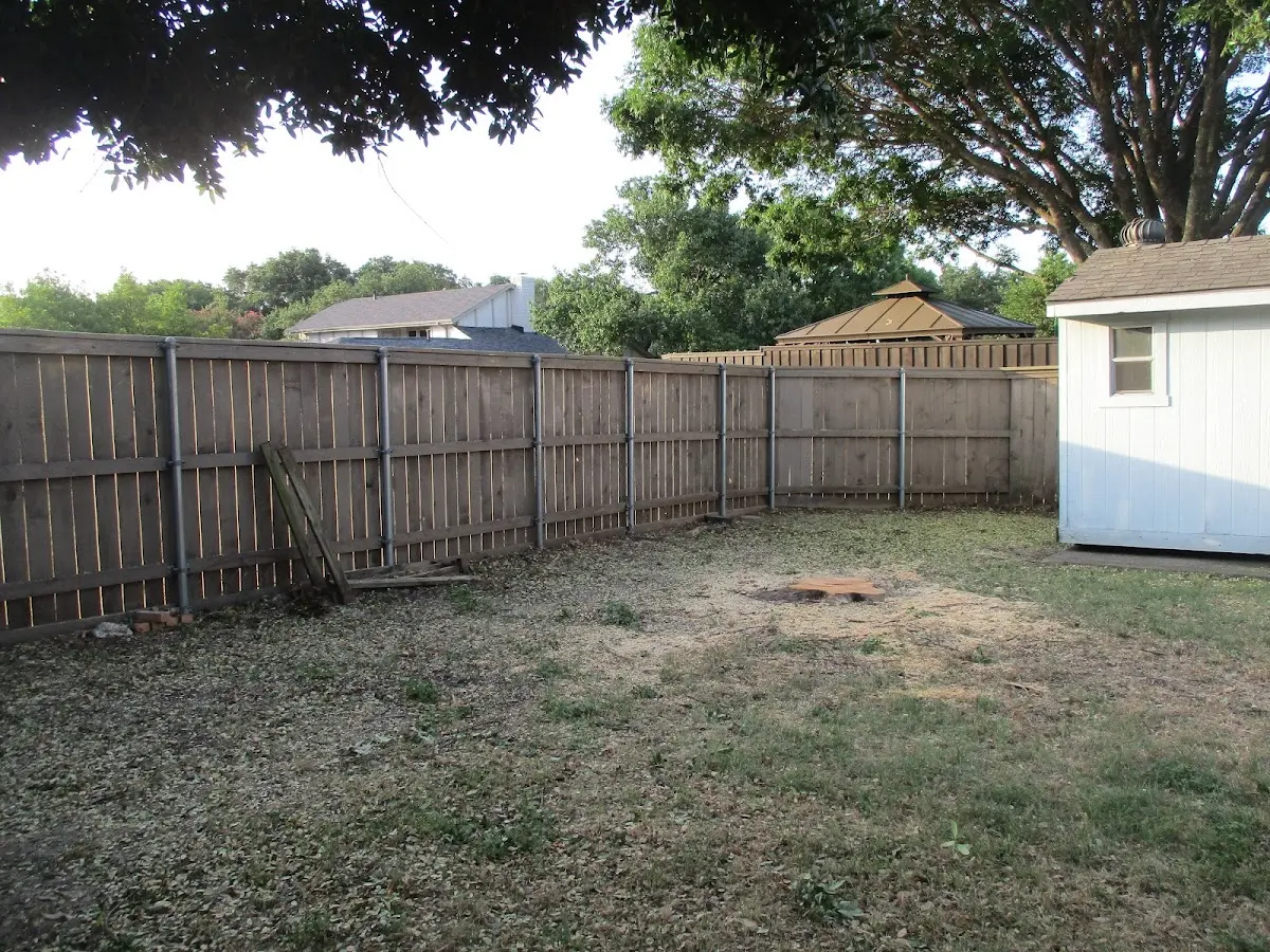 Cleared yard after professional tree removal in Lyman