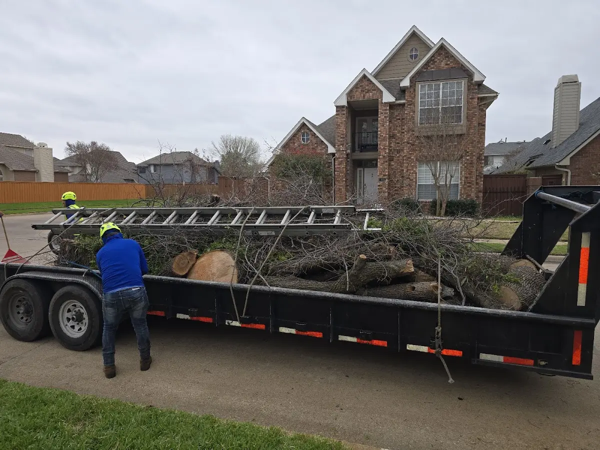 Expert Tree Fertilization with proper safety equipment in Lyman
